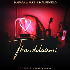 Thandolwami (feat. Mduduzi Ncube & Xowla)