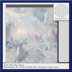 Aka Hyoo b2b slyn | Operator | 30.11.24