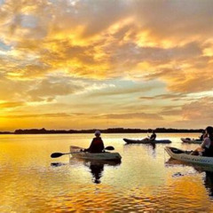Review Special Price Thousand Island Mangrove Tunnel Manatee & Dolphin Kayak Tour Wcocoa Kayaking