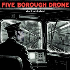 Five Borough Drone