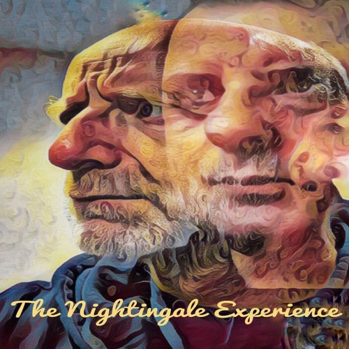 The Nightingale Experience - Nobody's Diary - Benedict Roff-Marsh Mix