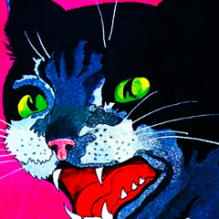 ??? die schwarze katze