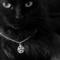 u dnt wnt me