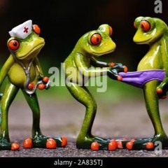 Freaky Frogs