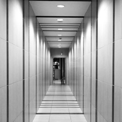 white_corridors ... --- ...