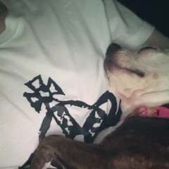 bowl for two @shad @pvgliuzz @dxvi