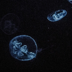 [Commission] Drowned