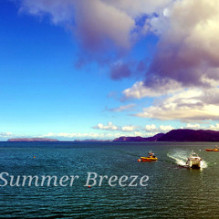 Summer Breeze 2025 version