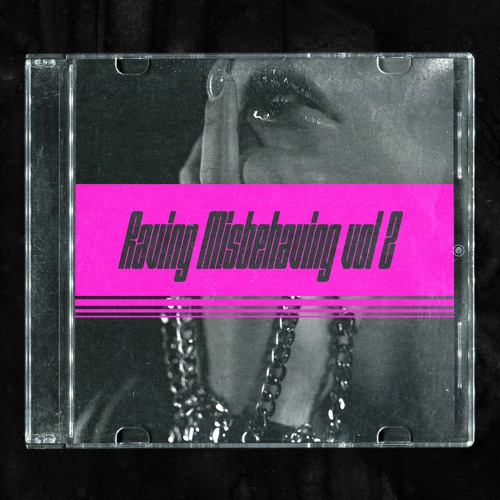 Raving Misbehaving vol 2 | Hard Dance and Eurotrance mix