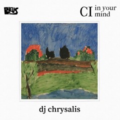 CI - dj chrysalis