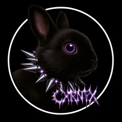 BLACK RABBIT