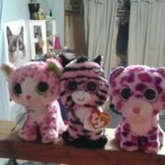 made this song last year lol but ima post it now