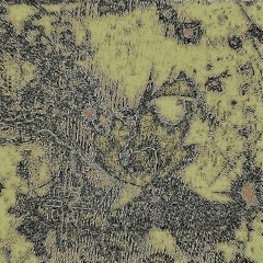 3:03 nella mia stanza la pareidolia mi riporta al tuo volto