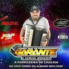 FORRO QUE SE GARANTE - CD CAIXA SAMPLEADA AS MELHORES EM ALTA QUALIDADE ( PISEIRO E FORRO ) 2024