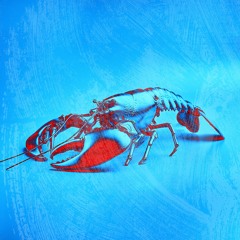 Corre Lagostinha (Peggy Gou x Rita Lee)