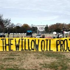 Willow Project Harlo And Ruby