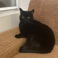 Henry Tegethoff redux radio mix