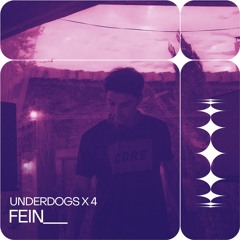 UNDERDOGS X 4: Fein___