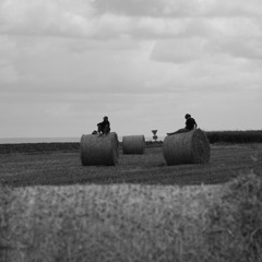 The Witch of Plum Hollow