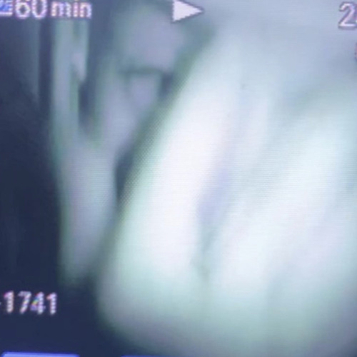 Loko! x Autumn! (p. Bhristo, Rio Leyva, Isvir)