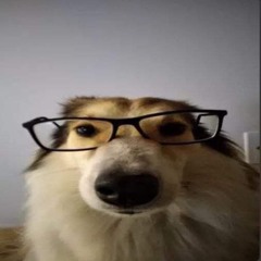 𝐒𝐭✰𝐫𝐠𝐢𝐫𝐥