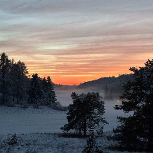 𝙰𝙽𝙶𝙴𝙻 𝟷𝟶𝟽 𝔦𝔣 𝔴𝔢 𝔡𝔞𝔫𝔠𝔢𝔡 <3 ~ cxrnucopia | SET#013