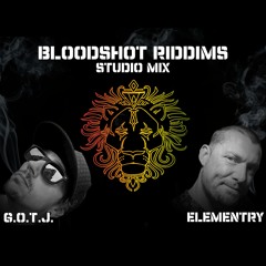 Elementry & G.O.T.J. - Bloodshot Riddims Studio Mix