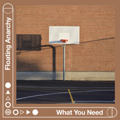 What You Need