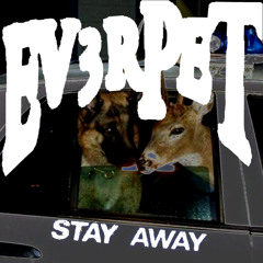 everpet - when its cold id like to die slow