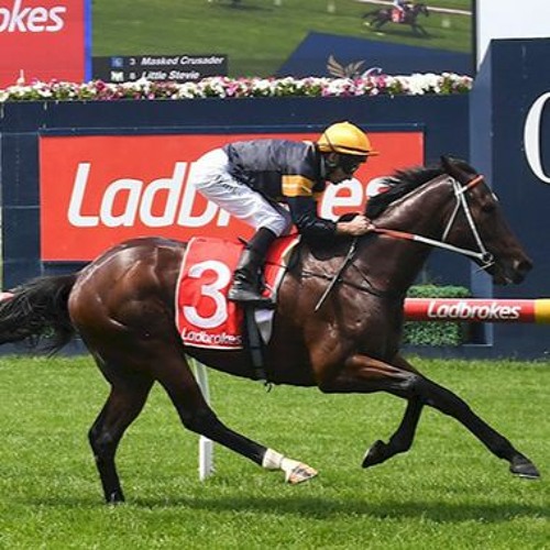 Vobis Gold Raceday Punting Preview