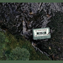 Papolious Jones - Computer Forest (Mini-Album) (TRBO003)