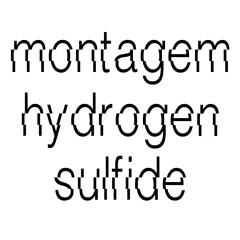 MONTAGEM HYDROGEN SULFIDE