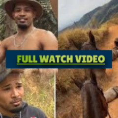 Full andrey guilherme nogueira homem que cortar as patas do cavalo em bananal portal zacarias