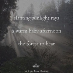 the forest is listening_NAVIARHAIKU592