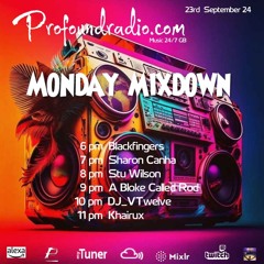 #211 Profound Radio  Progressive House  @djstuwilson