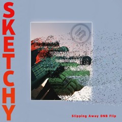 Slipping Away (Sketchy Pete DNB FLIP)