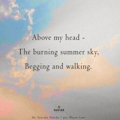 Above my head - the burning summer sky [naviarhaiku567]