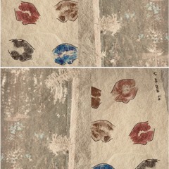 Amisa - Tamanco do Pé