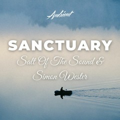 Salt Of The Sound & Simon Wester - Sanctuary