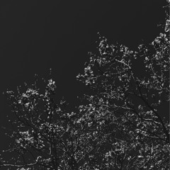 run away