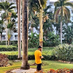 REGGIE MILLIONZ " MEXICO" FT BLANCO