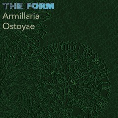 Armillaria Ostoyae