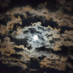 Moonray