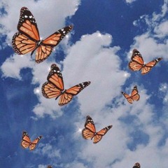 butterfly by umi🦋 - trying