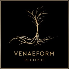 Artist Performances & DJ Mixes