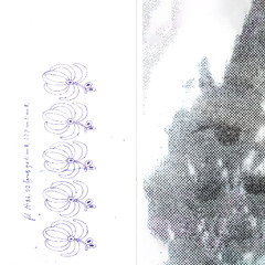 Sans Nuances - Incorporeal Pulse