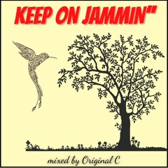 KEEP ON JAMMIN"  (2024 JULY, REGGAE MEDIUM MIX)