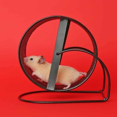 Hamster Wheel Demo