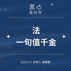【真心看世界】法，一句值千金!!! 翻轉一家命運。德佩法師+隨師點滴0911...