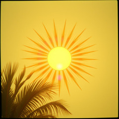 Sunlight Vibes (Солнечные вибрации)